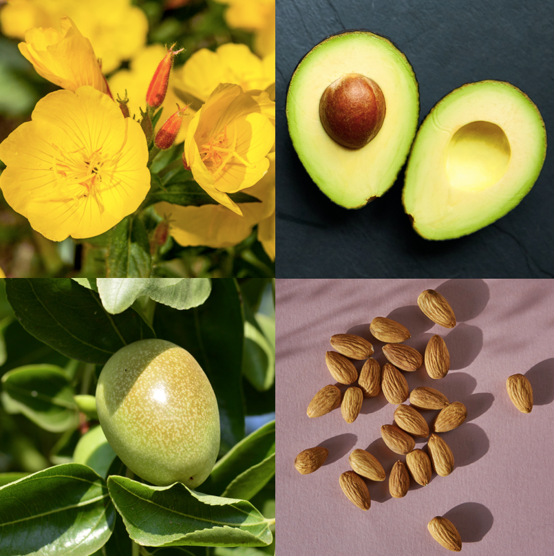 Autumn Skincare: Simplify and Hydrate with Effective Solutions