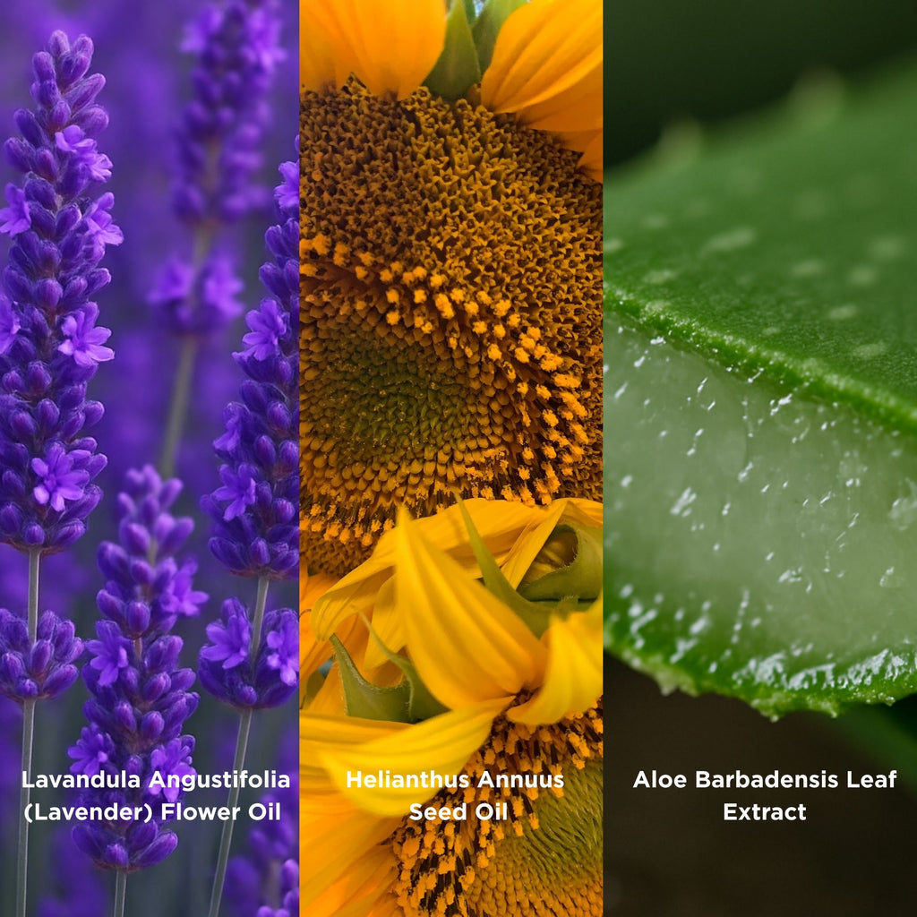 SPF 25 Moisturiser infographic