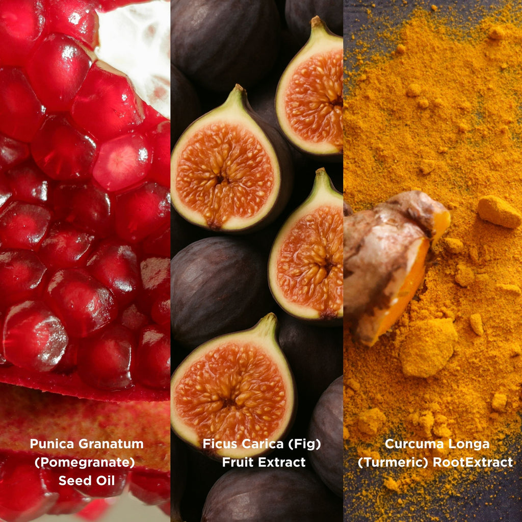 Punica Granatum (Pomegranate) Seed Oil, Ficus Carica (Fig) Fruit Extract, Curcuma Longa (Tumerlc) Root Extract infographic