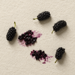 Five ripe black mulberries arranged on a textured off-white surface, with two mulberry juice stains showing deep purple and magenta tones.