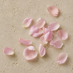 Scattered light pink rose petals on a textured beige surface.