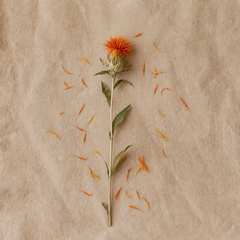 A single dried orange flower with green leaves lies vertically on a textured beige paper background, with small orange petals scattered around it.
