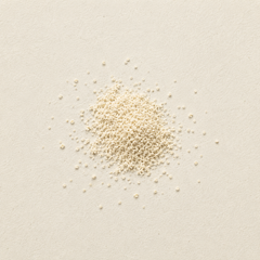 A small pile of fine, pale cream-colored granules or powder scattered on a textured off-white background.