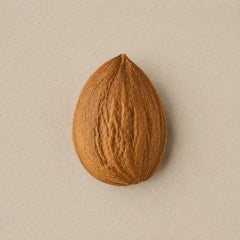 Apricot Kernel Oil