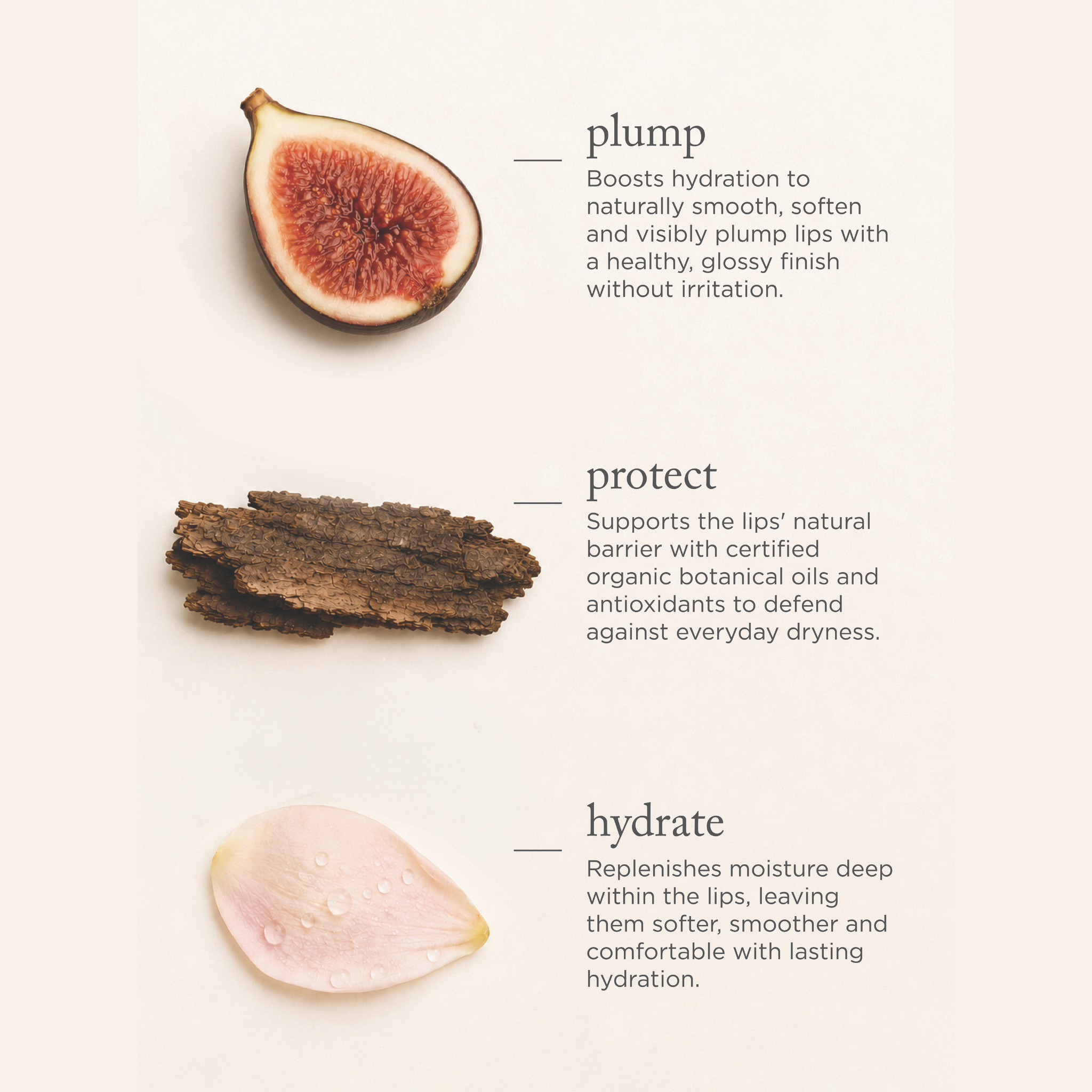 Organic Luscious Lip Oil
