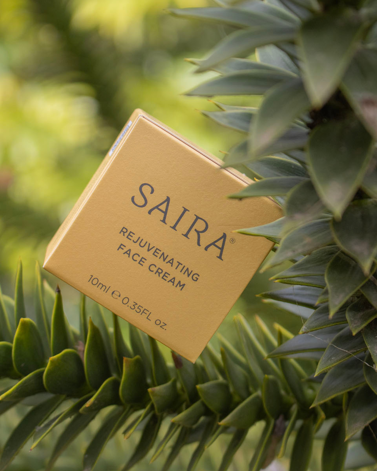 A gold rectangular box of Saira Rejuvenating Face Cream is nestled among green leaves, with the brand name 'SAIRA' clearly printed on the front.
