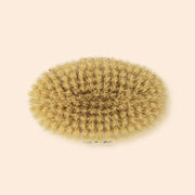 Dry Skin Brush