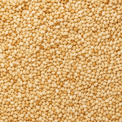 A close-up, top-down view of many sesame seeds filling the entire frame.