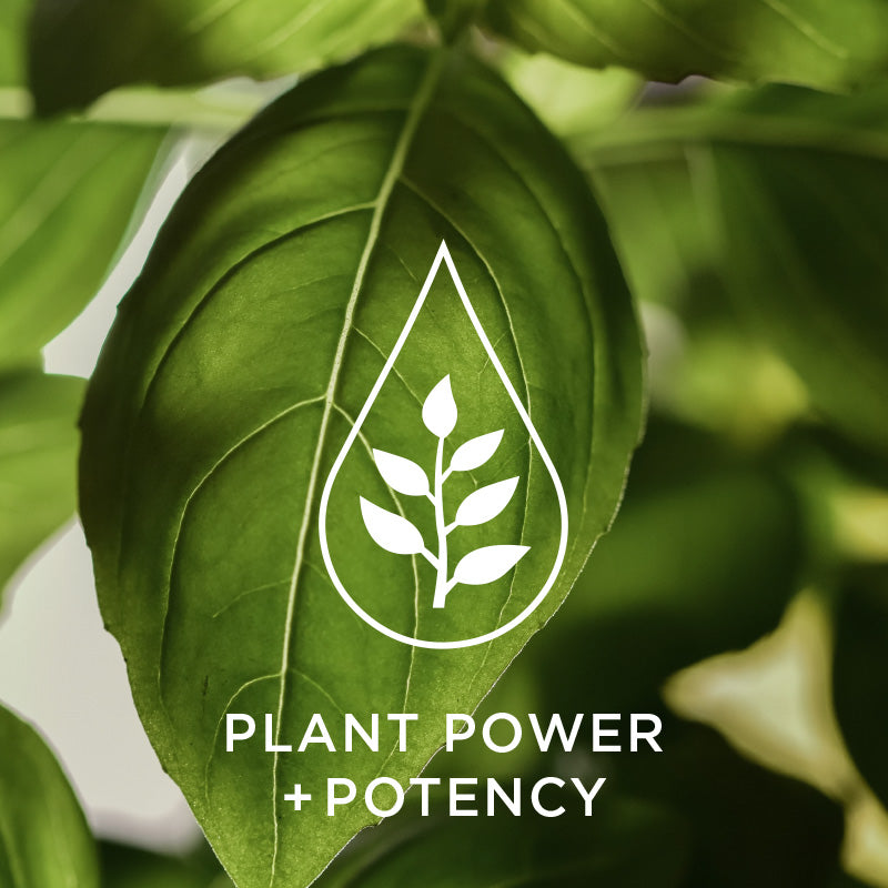 Plant power and potency